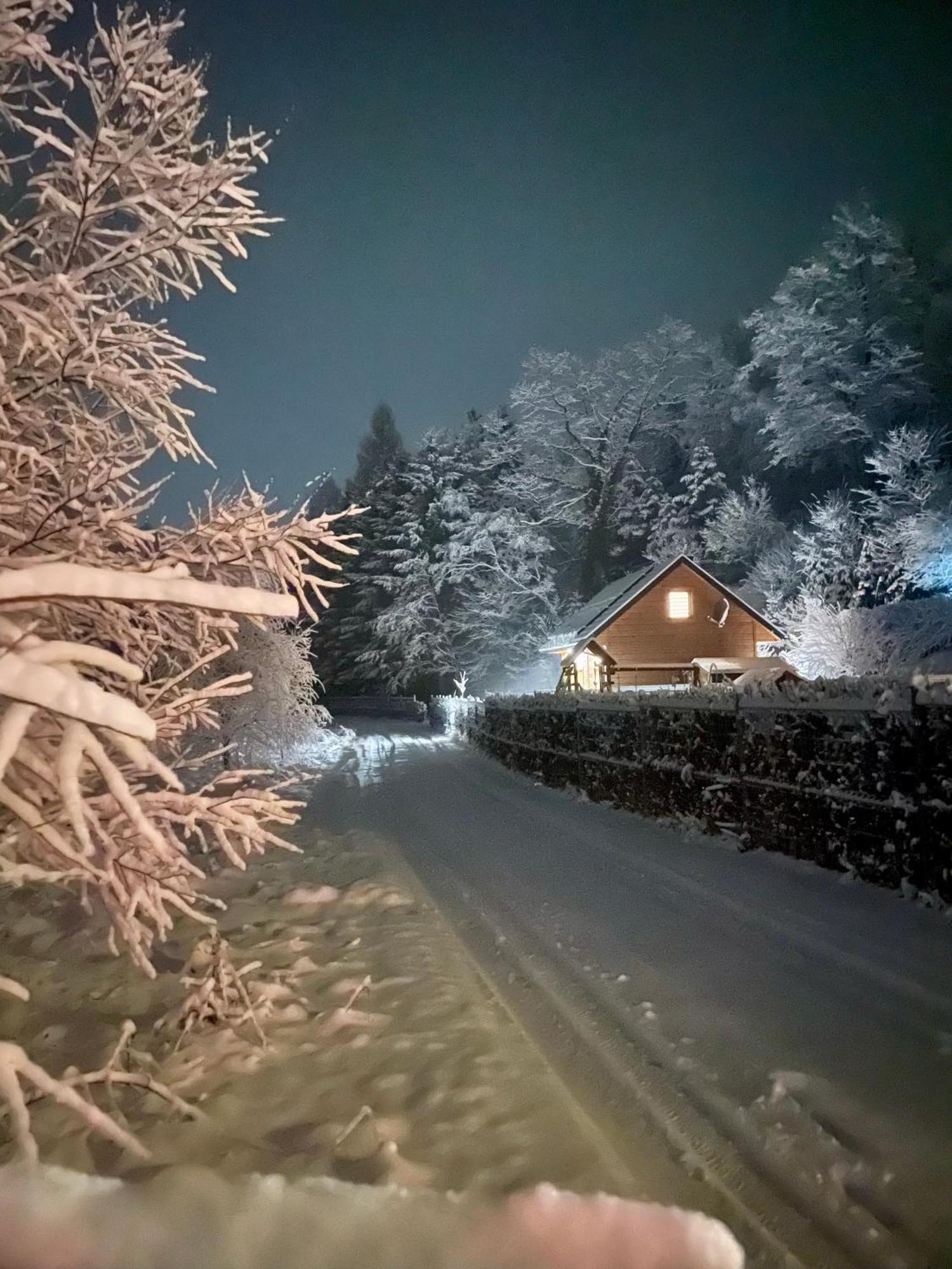 Chatka Dziadka Sudety Stronie Śląskie エクステリア 写真